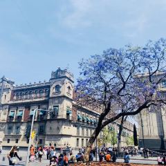 La Docena - Roma User Photo