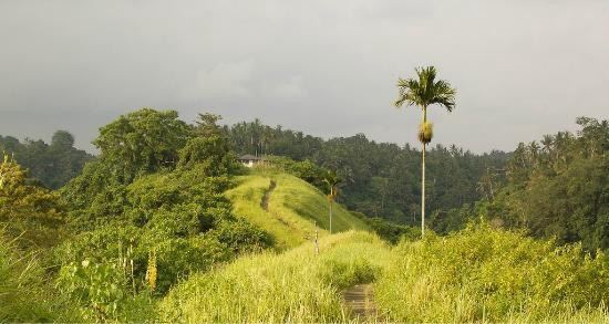 Campuhan Ridge Walk