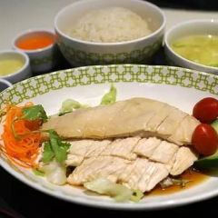 天天海南雞飯用戶圖片