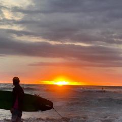La Lucciola User Photo