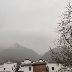 大金山土菜馆 User Photo