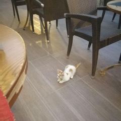 Vanilla Lounge User Photo