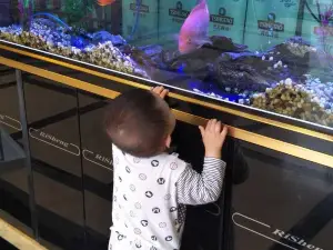 罗森尼娜(鲤鱼江店)