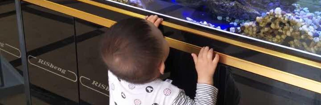 羅森尼娜(鯉魚江店)