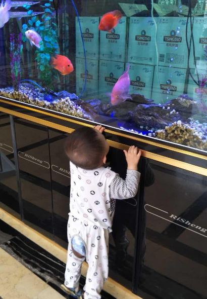 羅森尼娜(鯉魚江店)