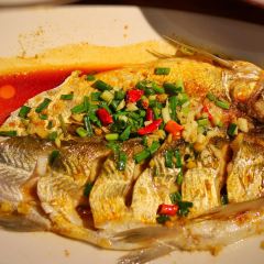老古树餐厅(历史景点店) User Photo