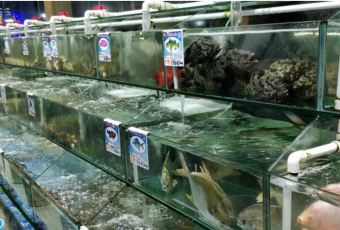 XIAO HAI TUN LIAN SUO HAI XIAN CANTING User Photo