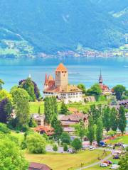 Spiez Castle