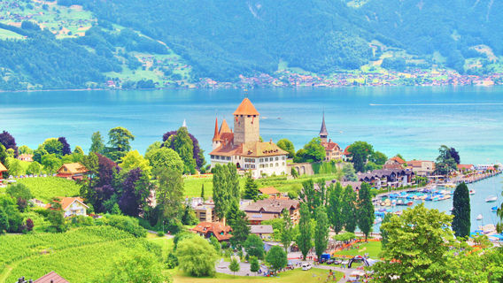 Spiez