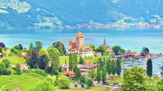 Spiez Castle