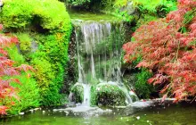 Waterfall Garden