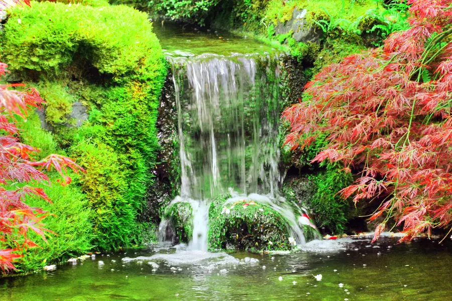 Waterfall Garden