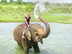 Meidan Elephant Camp