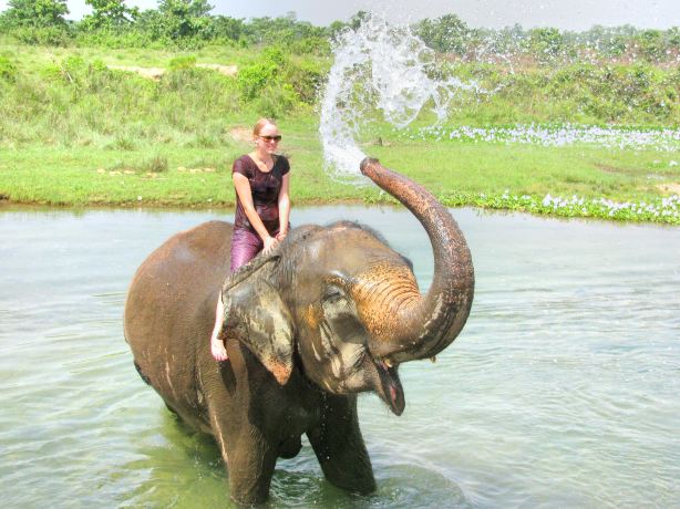 Maetaeng Elephant Park & Clinic