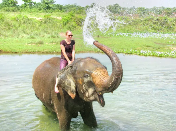Maetaeng Elephant Park & Clinic