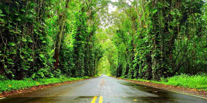 Māhā'ulepū Heritage Trail