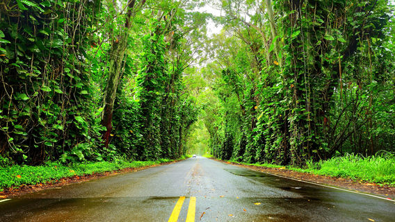 Heritage Trail