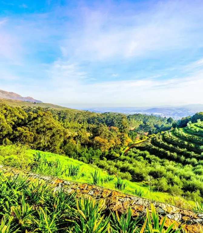 Stellenbosch
