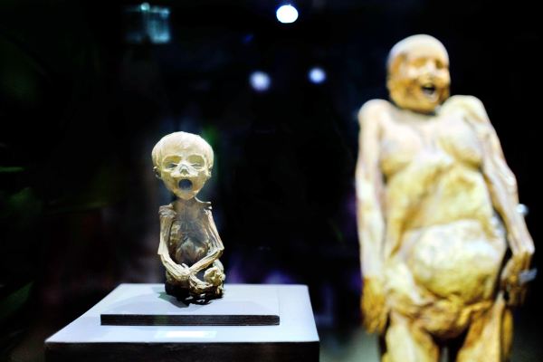 Museum of the Mummies of Guanajuato