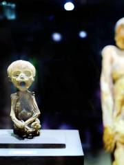 Museum of the Mummies of Guanajuato