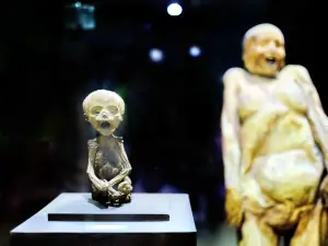 Musée des momies de Guanajuato