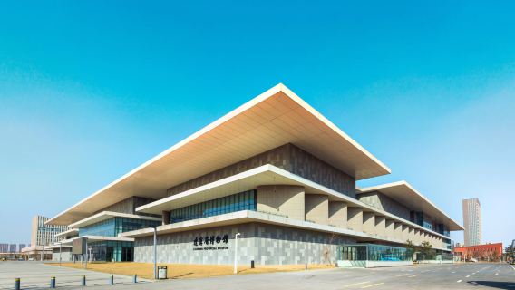 Muzium Wilayah Liaoning [Panduan Secara Langsung Profesional 2.5 Jam]