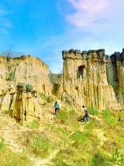 Huanglian Soil Forest