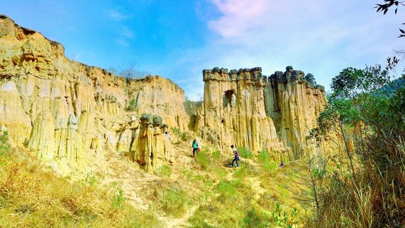 Huanglian Soil Forest