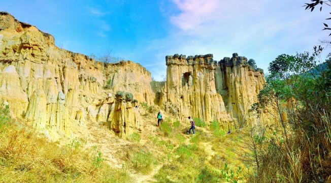 Huanglian Soil Forest