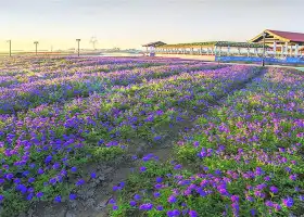 伊甸園