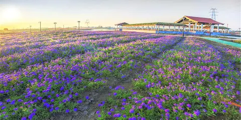 伊園景區沙灘越野車10次卡成人