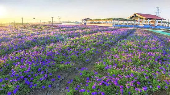 에덴 동산