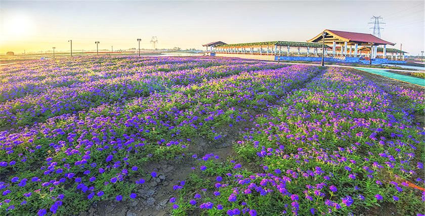 Yiyuan Scenic Area