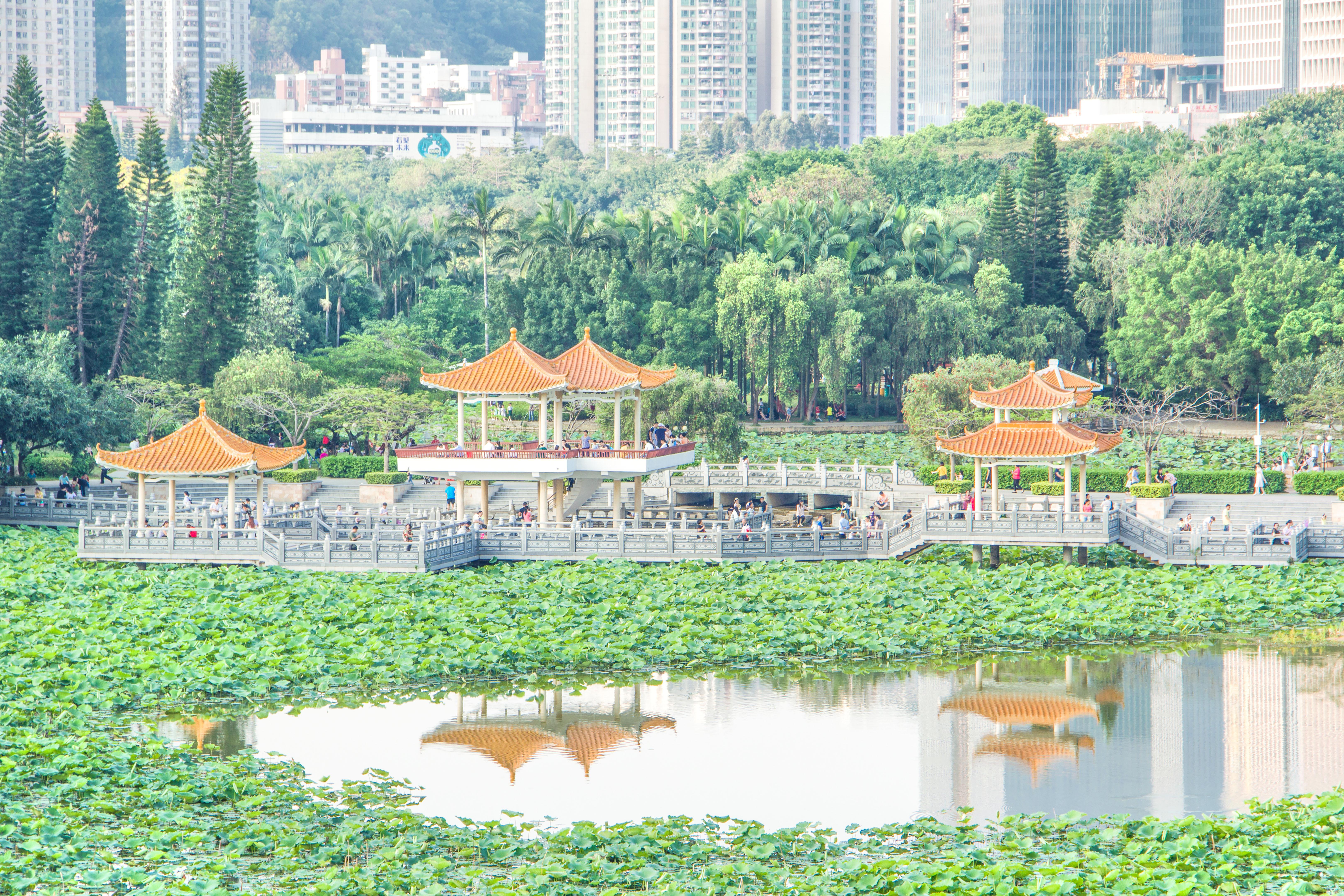 Hotel in zona Honghu Park