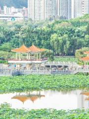 Honghu Park