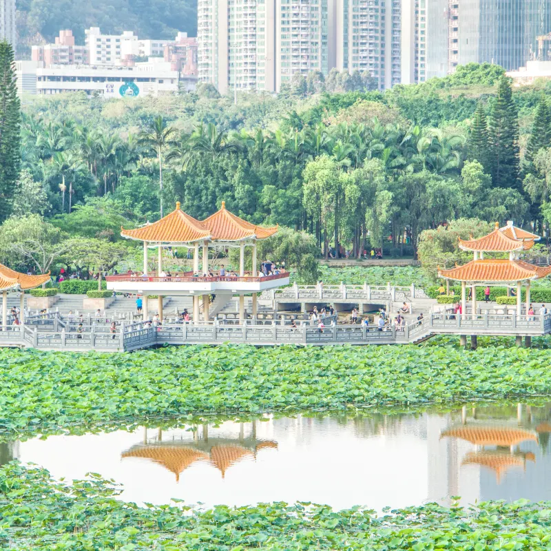 洪湖公園