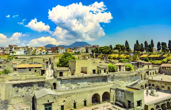 赫庫蘭尼姆古城門票（全日票）成人