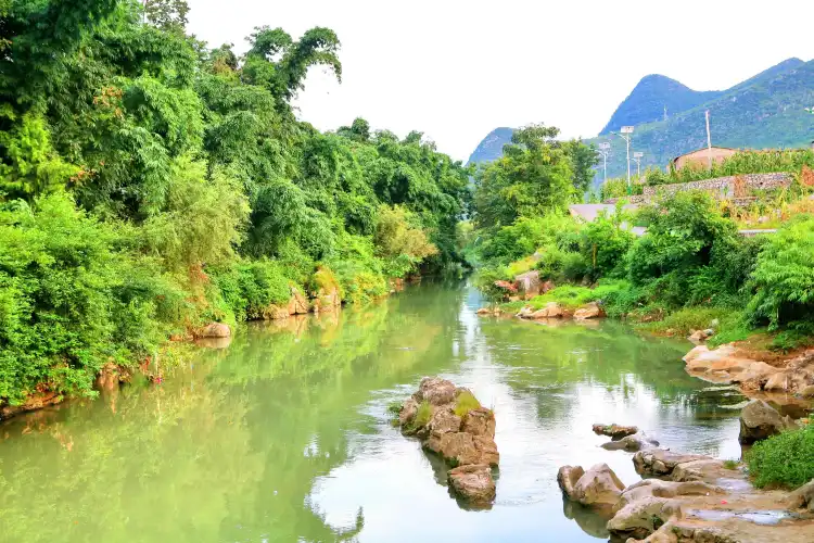 Các khách sạn gần Wanfenglin Scenic Area
