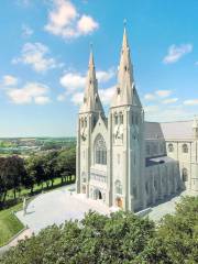 Catedral de San Patricio de Dublín