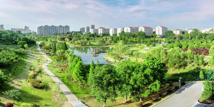 Jiangsu University