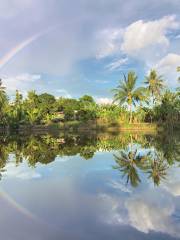 Kinabatangan River