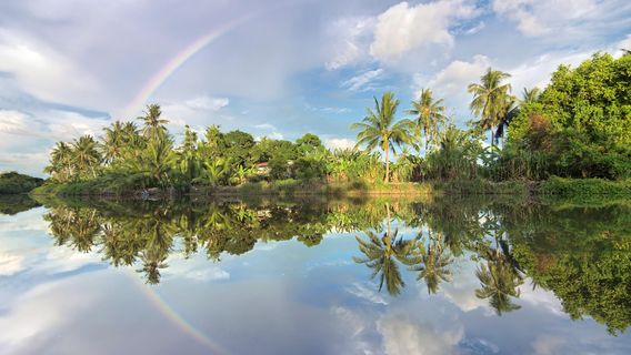 Kinabatangan River