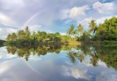 Kinabatangan River