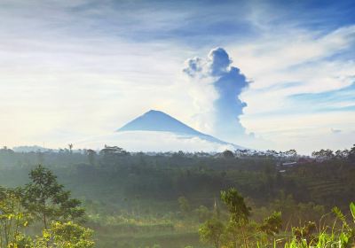 阿貢火山