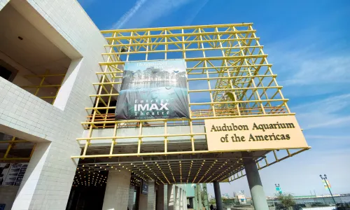 Audubon Aquarium