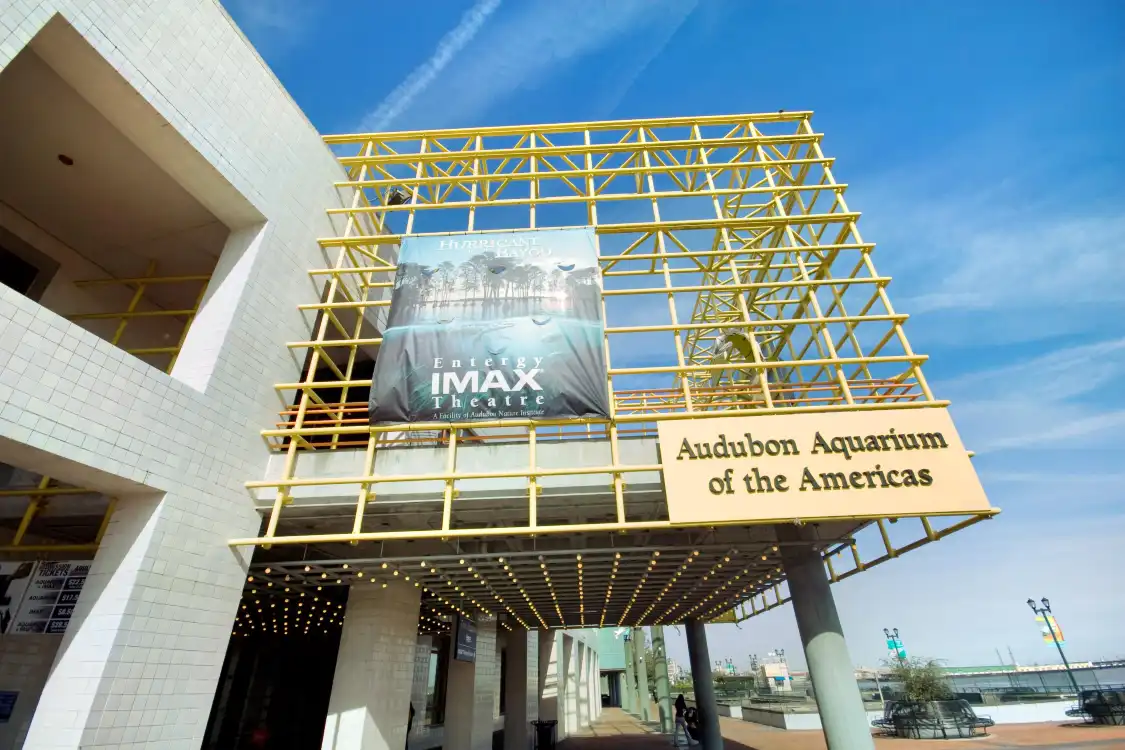 Hotels near Audubon Aquarium
