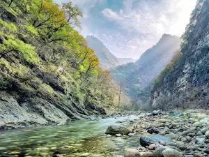 黑河國家森林公園