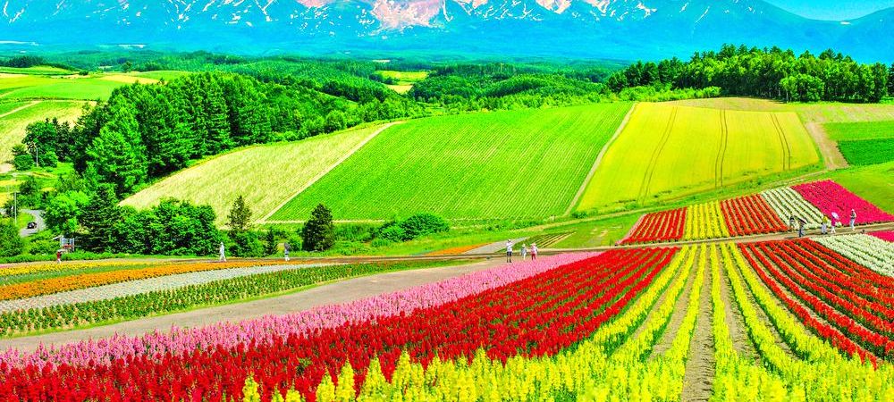 travel