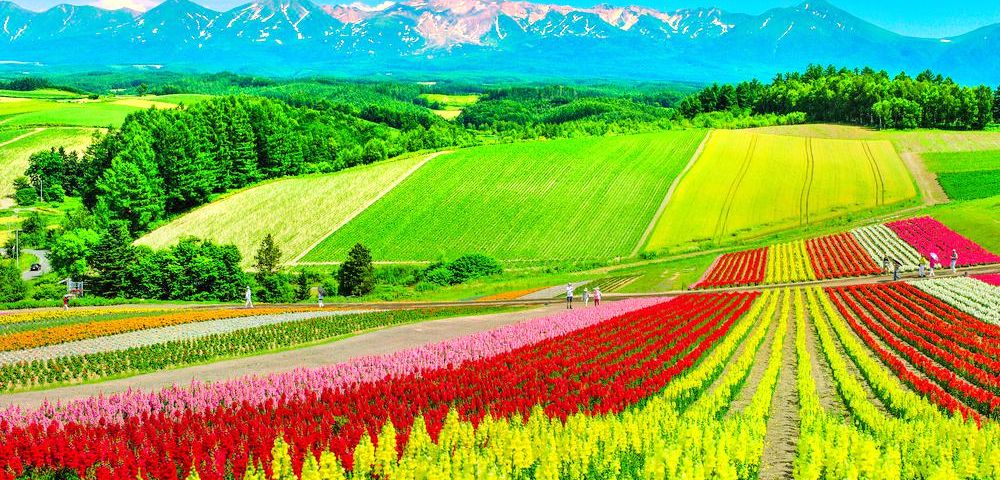 travel