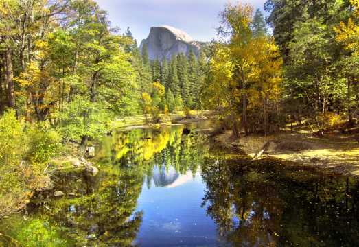 USA Yosemite National Park Mariposa Valley Giant Sequoia